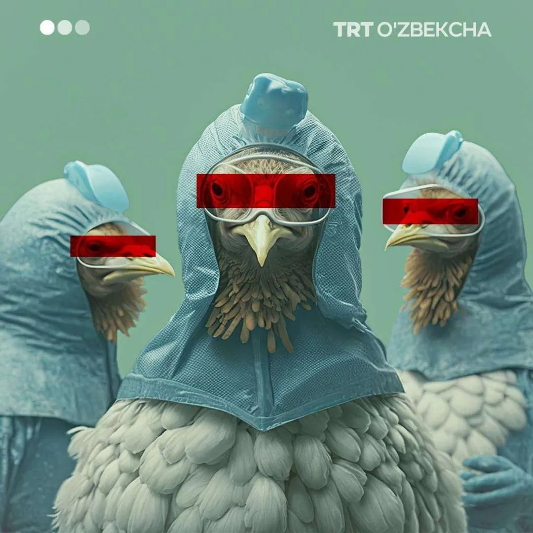 Quş qripindən niyə narahat olmalıyıq?